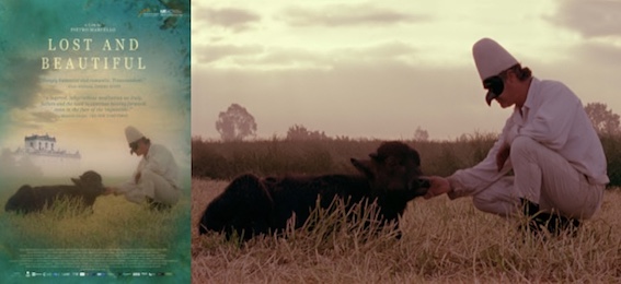 poster and an image from Bella e perduta / Lost and Beautiful