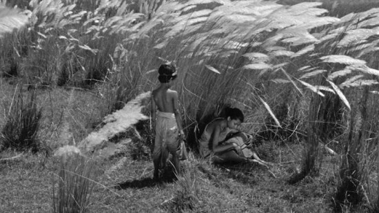 an image from the first of Satyajit Ray's Apu trilogy, Pather Panchali